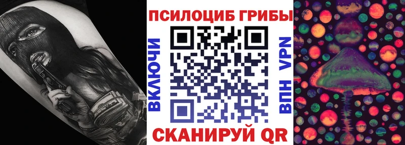 Купить где  Дзержинский  Галлюциногенные грибы Psilocybine cubensis 